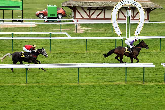 Arrivée quinté pmu PRIX DE BERCK à COMPIEGNE