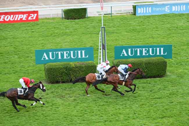 Arrivée quinté pmu PRIX ANDREA à AUTEUIL