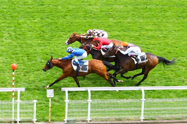 Arrivée quinté pmu PRIX TEXANITA à MAISONS-LAFFITTE
