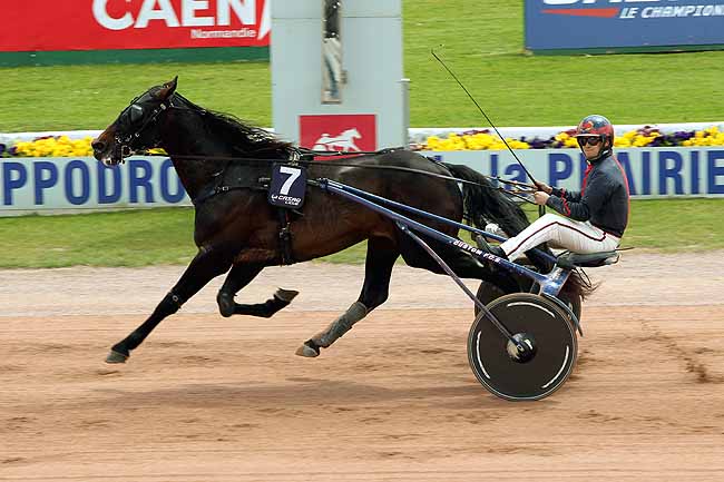 Arrivée quinté pmu PRIX DES DUCS DE NORMANDIE à CAEN