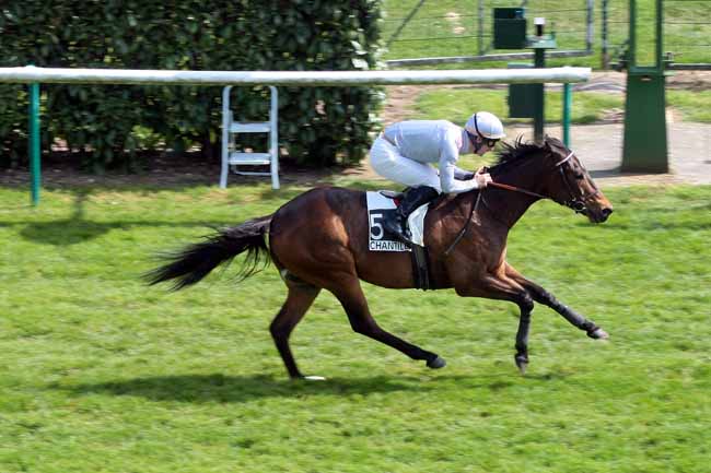 Arrivée quinté pmu PRIX ALY KHAN à CHANTILLY