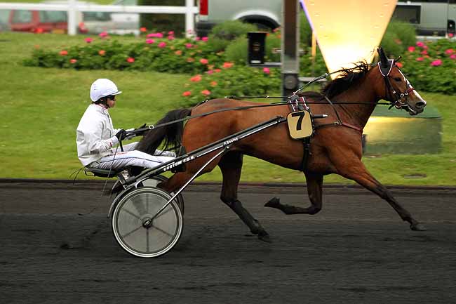 Arrivée quinté pmu PRIX HERACLITE à PARIS-VINCENNES