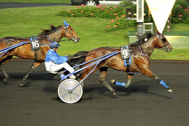 Arrivée quinté pmu PRIX CAMILLA à PARIS-VINCENNES