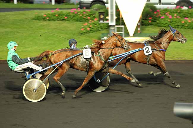 Arrivée quinté pmu PRIX KALMIA à PARIS-VINCENNES