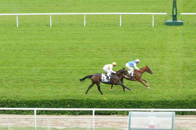 Arrivée quinté pmu PRIX LUNADIX à SAINT-CLOUD