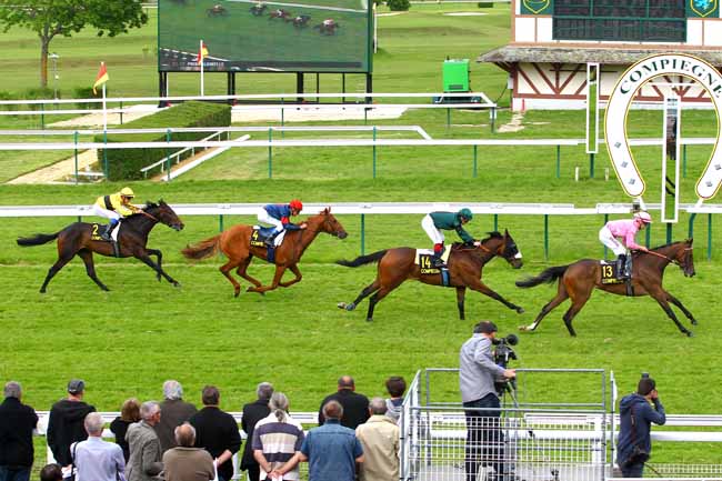 Arrivée quinté pmu PRIX PALOMELLE à COMPIEGNE