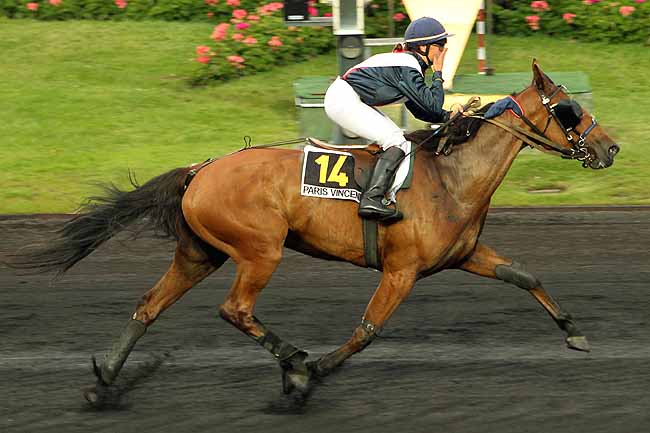 Arrivée quinté pmu PRIX LAVATER à PARIS-VINCENNES