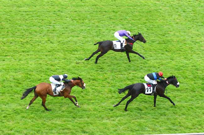 Arrivée quinté pmu PRIX AGUADO à AUTEUIL