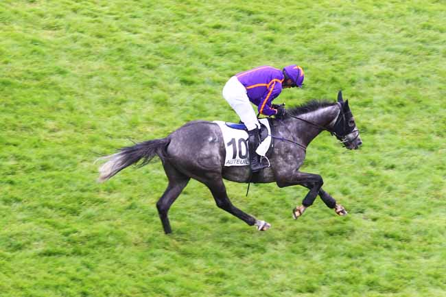 Arrivée quinté pmu PRIX ALAIN DU BREIL - COURSE DE HAIES D'ETE DES QUATRE ANS à AUTEUIL
