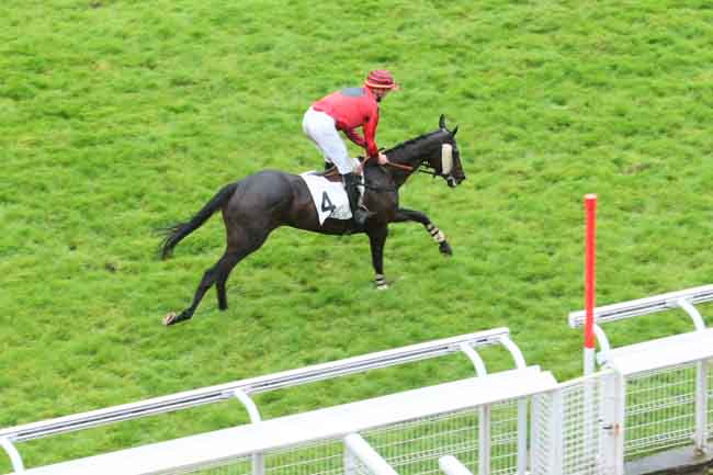 Arrivée quinté pmu PRIX BELLE ISLE à AUTEUIL