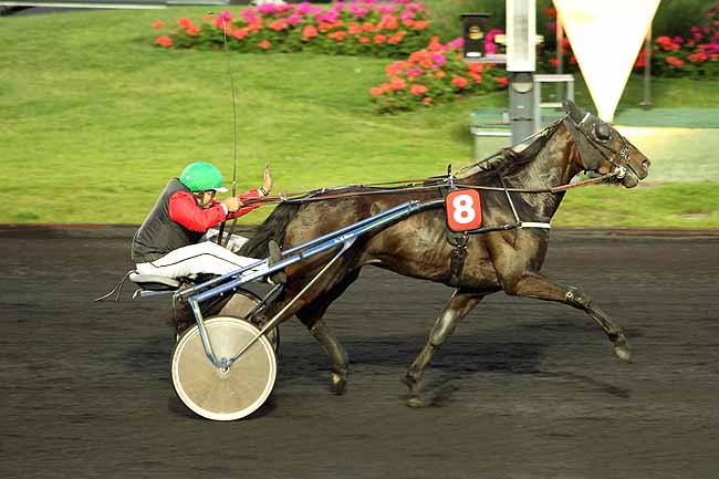 Arrivée quinté pmu PRIX CELUTA à PARIS-VINCENNES
