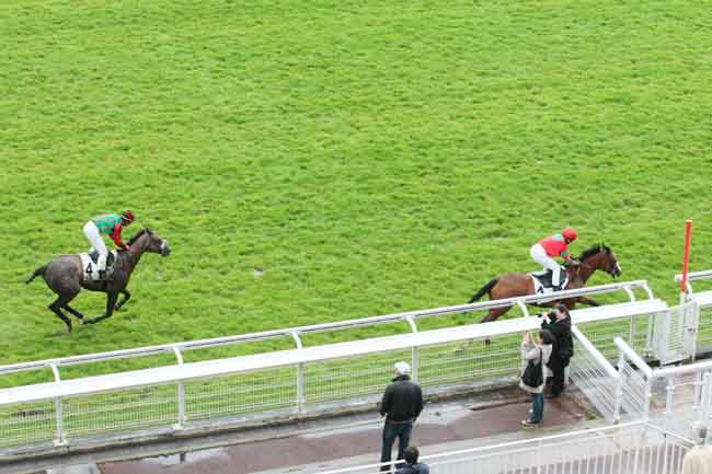 Arrivée quinté pmu PRIX SAGAN à AUTEUIL