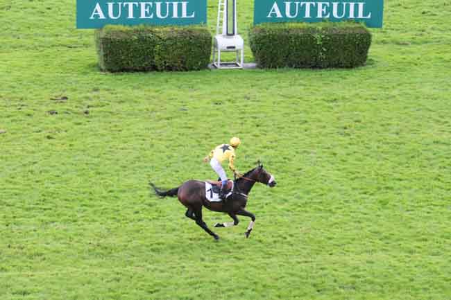 Arrivée quinté pmu PRIX LA PERICHOLE à AUTEUIL