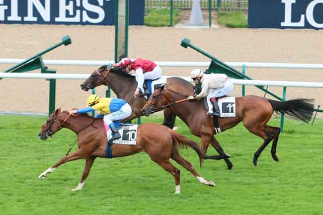 Arrivée quinté pmu PRIX LA MOSKOWA à CHANTILLY