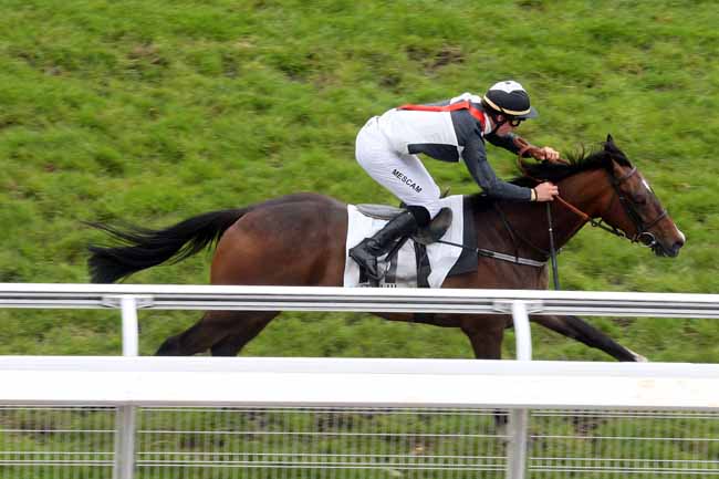 Arrivée quinté pmu PRIX D'ACHERES à AUTEUIL