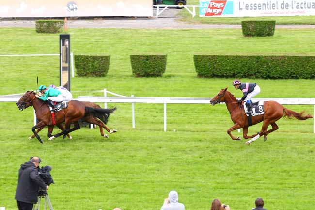 Arrivée quinté pmu PRIX DE LA POINTE DU HOC (PRIX HIPPICK PACK KADO) à CLAIREFONTAINE