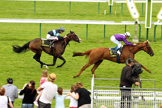 Arrivée quinté pmu PRIX DU GRAND PARC à COMPIEGNE