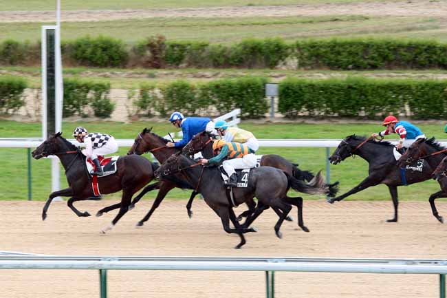 Arrivée quinté pmu PRIX DU COCHET à DEAUVILLE