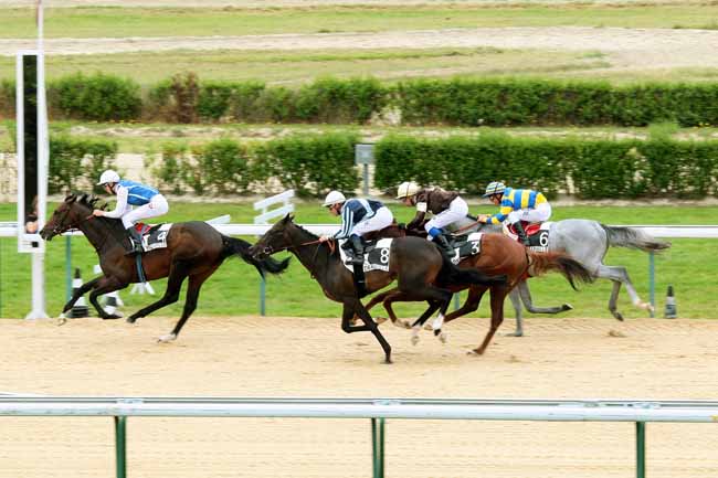 Arrivée quinté pmu PRIX DE LA ROCQUE à DEAUVILLE