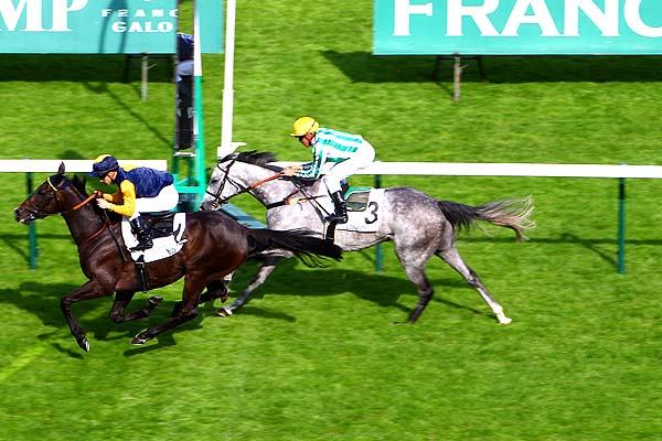 Arrivée quinté pmu PRIX DU VIEUX COLOMBIER à LONGCHAMP