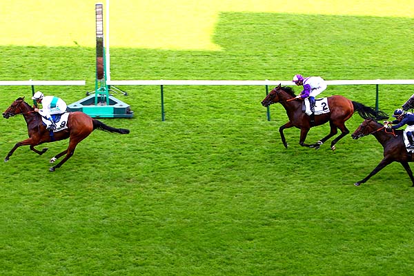 Arrivée quinté pmu PRIX DE LA PORTE MAILLOT à LONGCHAMP