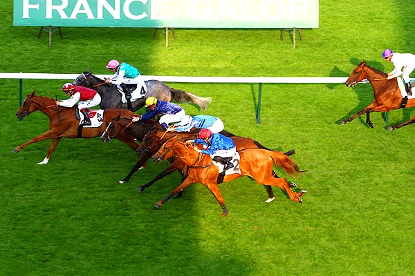 Arrivée quinté pmu PRIX DE LA CERISAIE à LONGCHAMP