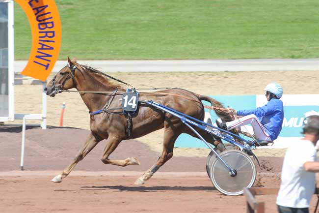 Arrivée quinté pmu GRAND PRIX D'ETE à CHATEAUBRIANT