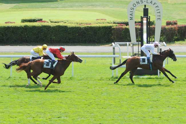Arrivée quinté pmu PRIX TORNADO à MAISONS-LAFFITTE