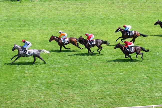Arrivée quinté pmu PRIX HUBERT DE CATHEU à VICHY