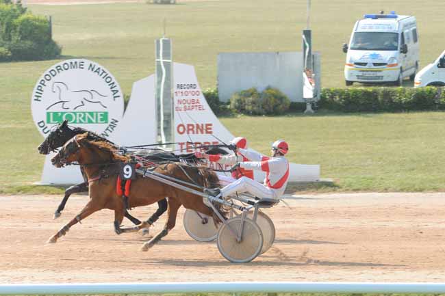 Arrivée quinté pmu PRIX DE LA MAYENNE à ARGENTAN