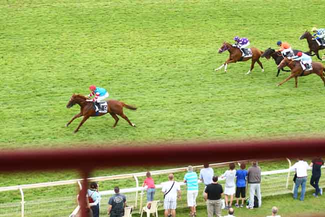 Arrivée quinté pmu PRIX DE LA MINARDIERE à VICHY