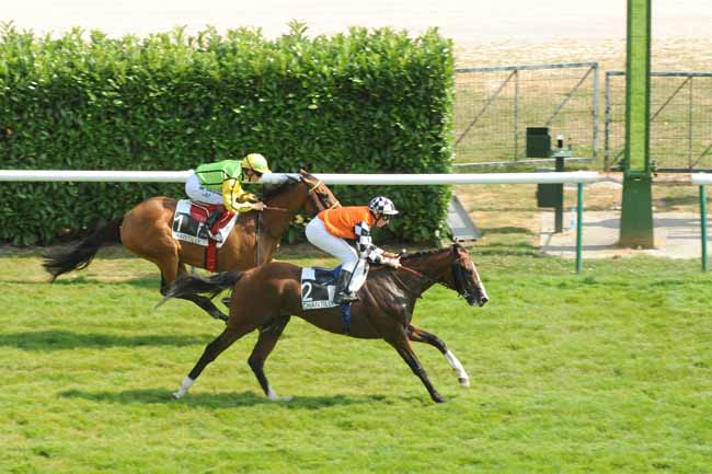 Arrivée quinté pmu PRIX DE LA VERSE à CHANTILLY