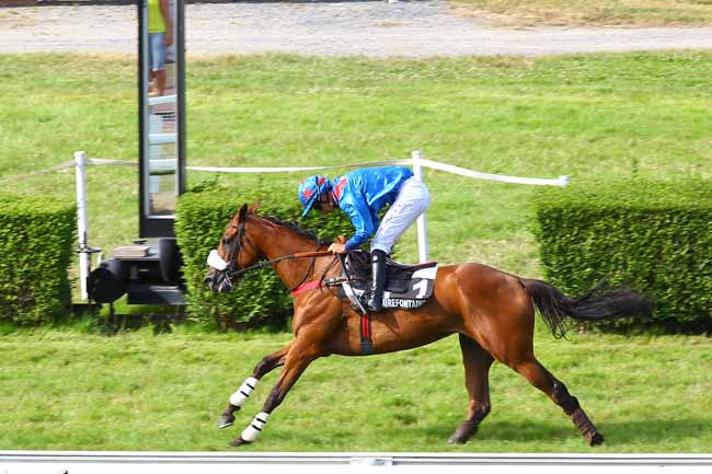Arrivée quinté pmu PRIX DES ORCHIDEES à CLAIREFONTAINE