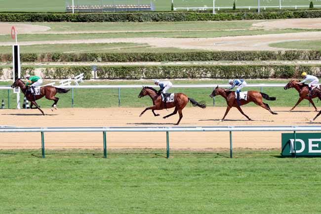 Arrivée quinté pmu PRIX DE CRICQUEVILLE à DEAUVILLE