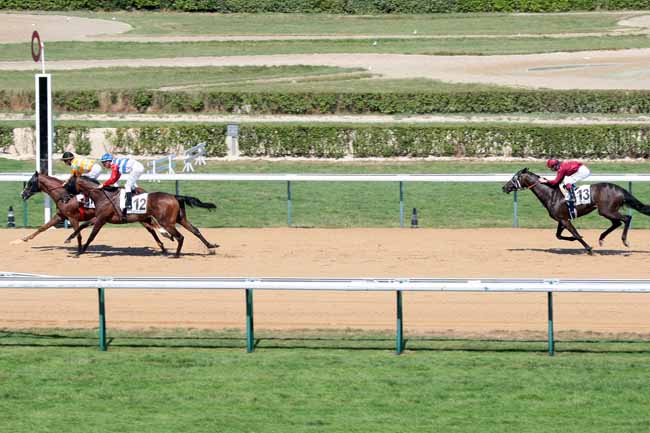 Arrivée quinté pmu PRIX DU GUE à DEAUVILLE