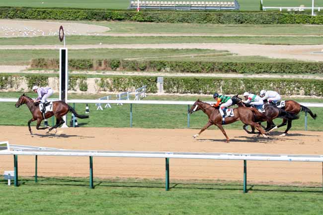 Arrivée quinté pmu PRIX DE LIVAROT à DEAUVILLE
