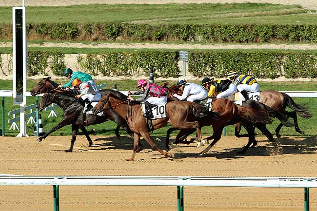 Arrivée quinté pmu PRIX SAINT-HYMER à DEAUVILLE
