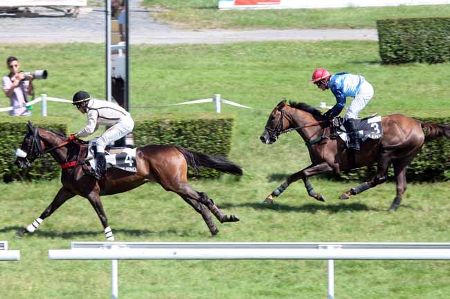 Arrivée quinté pmu PRIX DE LA PAQUINE à CLAIREFONTAINE