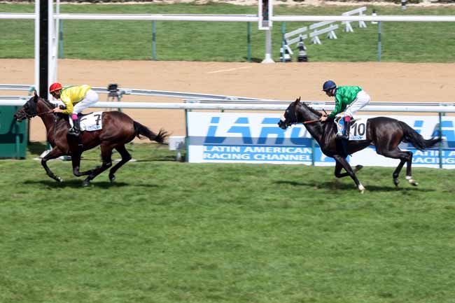Arrivée quinté pmu PRIX DE L'HIPPODROME DE CHILE à DEAUVILLE