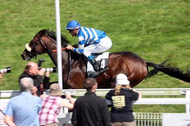 Arrivée quinté pmu PRIX KENMARE (PRIX SECURITE SUR LA ROUTE) à CLAIREFONTAINE