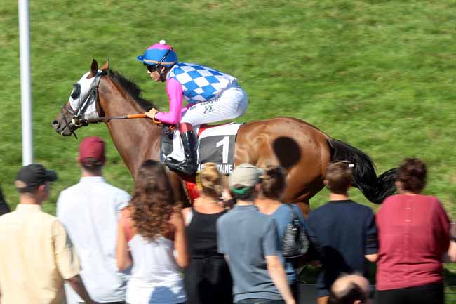 Arrivée quinté pmu PRIX DES ANEMONES (PRIX ASSOCIATION CONDUIRE POUR LA VIE) à CLAIREFONTAINE