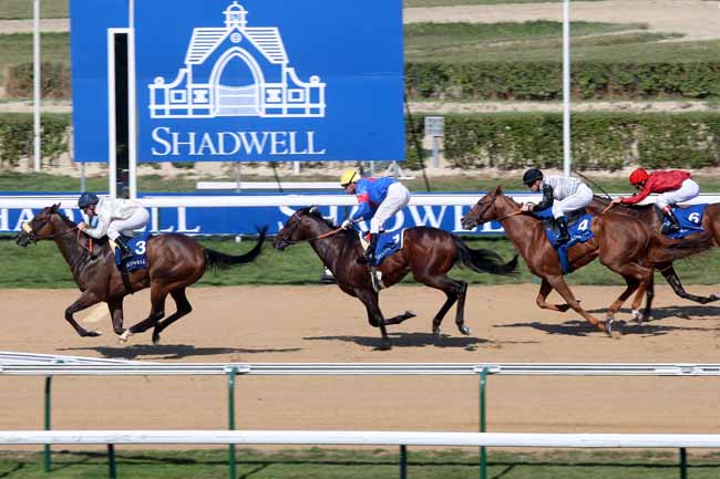 Arrivée quinté pmu PRIX DE LOUVIERES-EN-AUGE - ETALON AQLAAM à DEAUVILLE