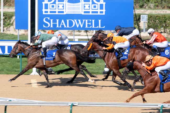 Arrivée quinté pmu PRIX DU MESNIL-GERMAIN - ETALON MAWAATHEEQ à DEAUVILLE