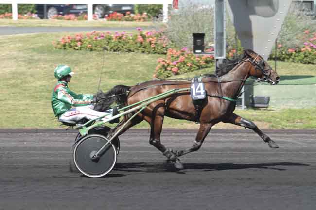 Arrivée quinté pmu PRIX DU PERIGORD à PARIS-VINCENNES