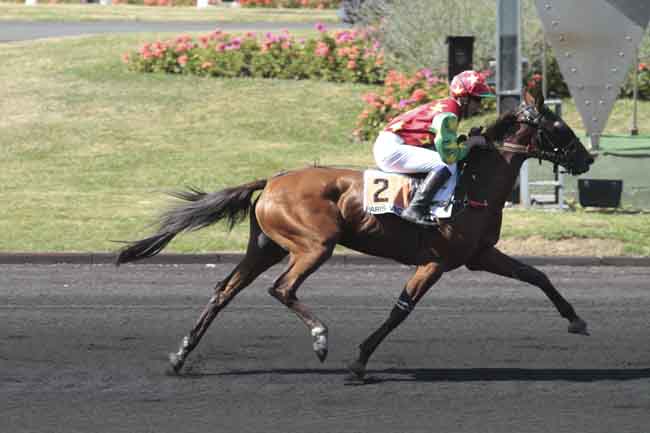 Arrivée quinté pmu PRIX DE BAZET à PARIS-VINCENNES