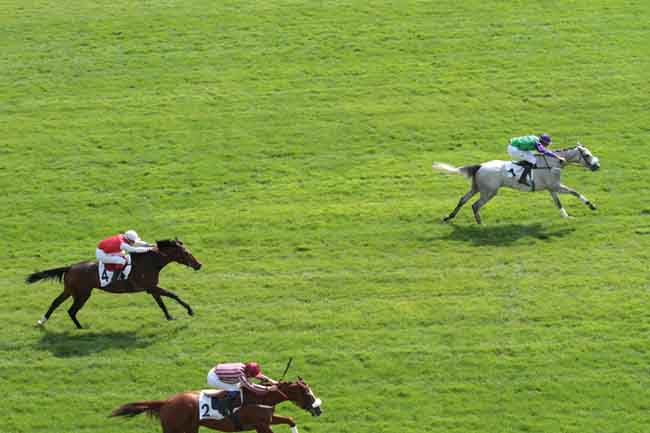Arrivée quinté pmu PRIX PELAT à AUTEUIL