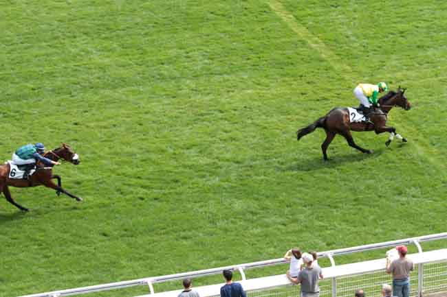 Arrivée quinté pmu PRIX SAIDA à AUTEUIL