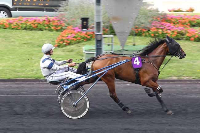 Arrivée quinté pmu PRIX DES CYCLAMENS à PARIS-VINCENNES