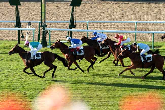 Arrivée quinté pmu PRIX DE LAIGNEVILLE à CHANTILLY