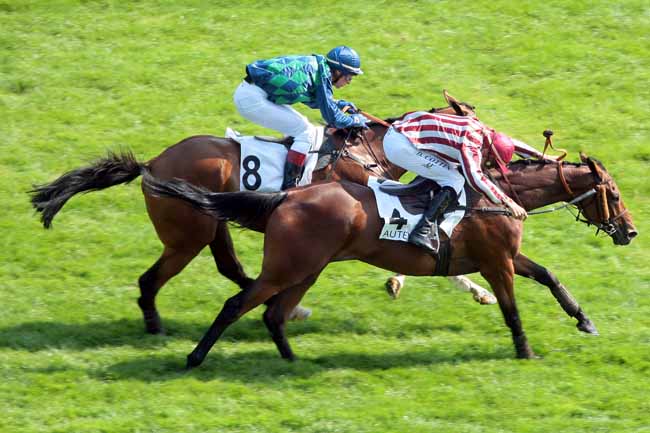Arrivée quinté pmu PRIX JEAN NOIRET à AUTEUIL